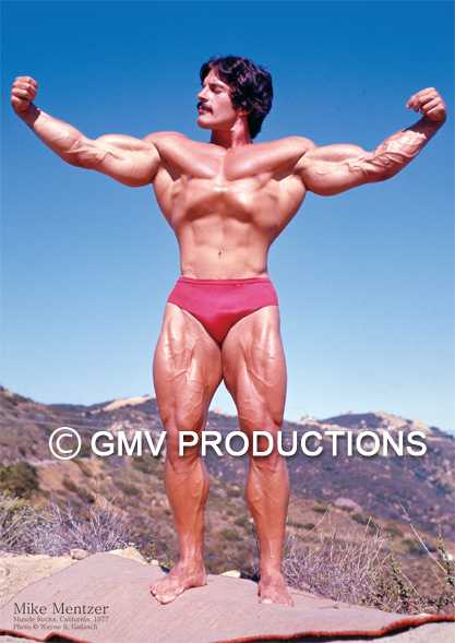 High Intensity Training The Mike Mentzer Way Pdf Free