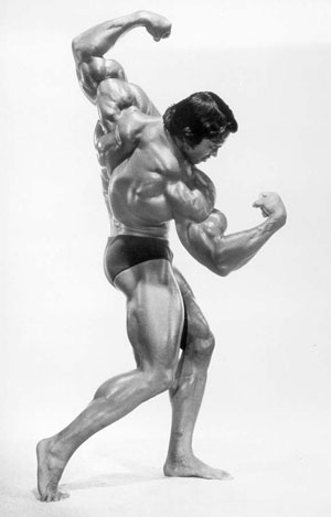 Reinhardt's "Flex" Victory Pose should be Arnold's "Flex" Victory Pose :  r/Overwatch
