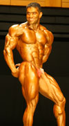 2006 NABBA World Championships: The Men - Photo CD