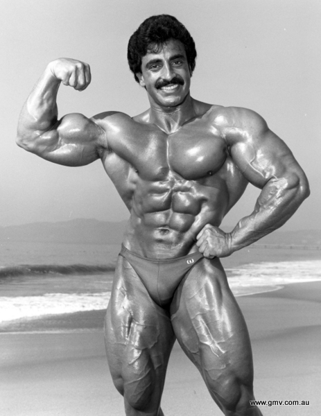 The Chiseled Back of 1983 Mr. Olympia, Samir 